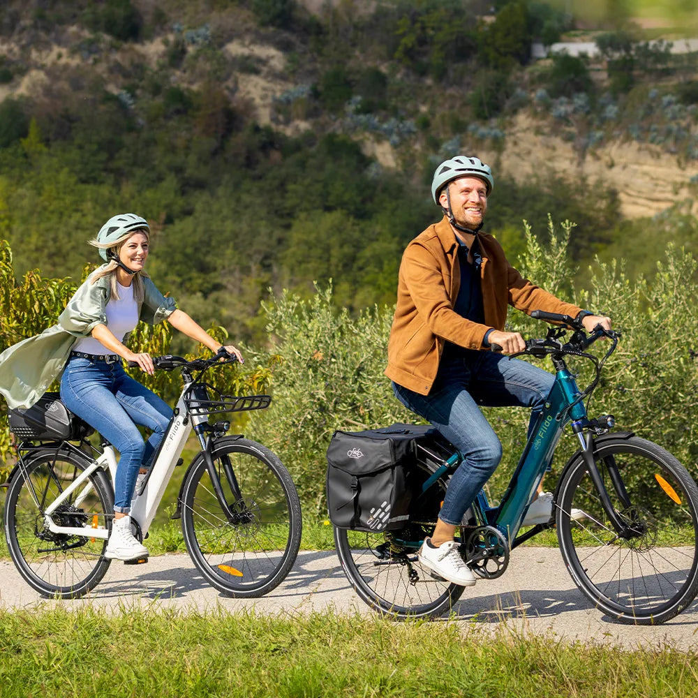 Fiido C11 Vélo Électrique Léger Urbain