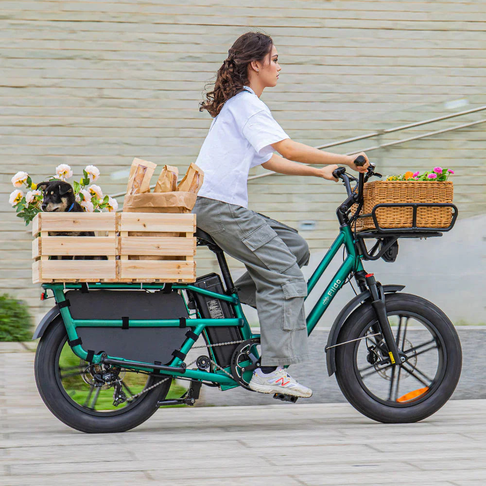 Fiido T2 Vélo électrique Longtail Fatbike Cargo
