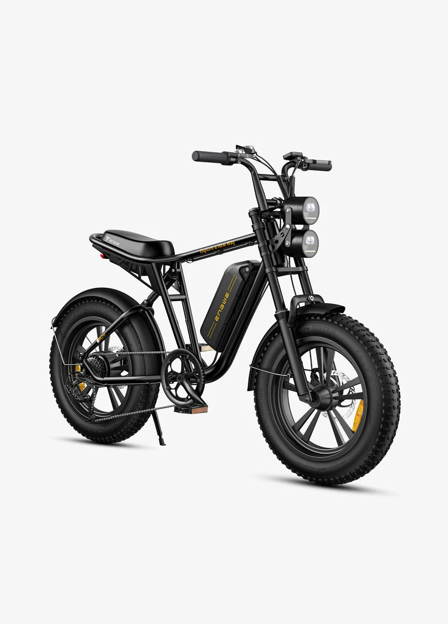 ENGWE M20 X2 Vélo Électrique Fat Bike à Double Batterie – 150KM d’Autonomie