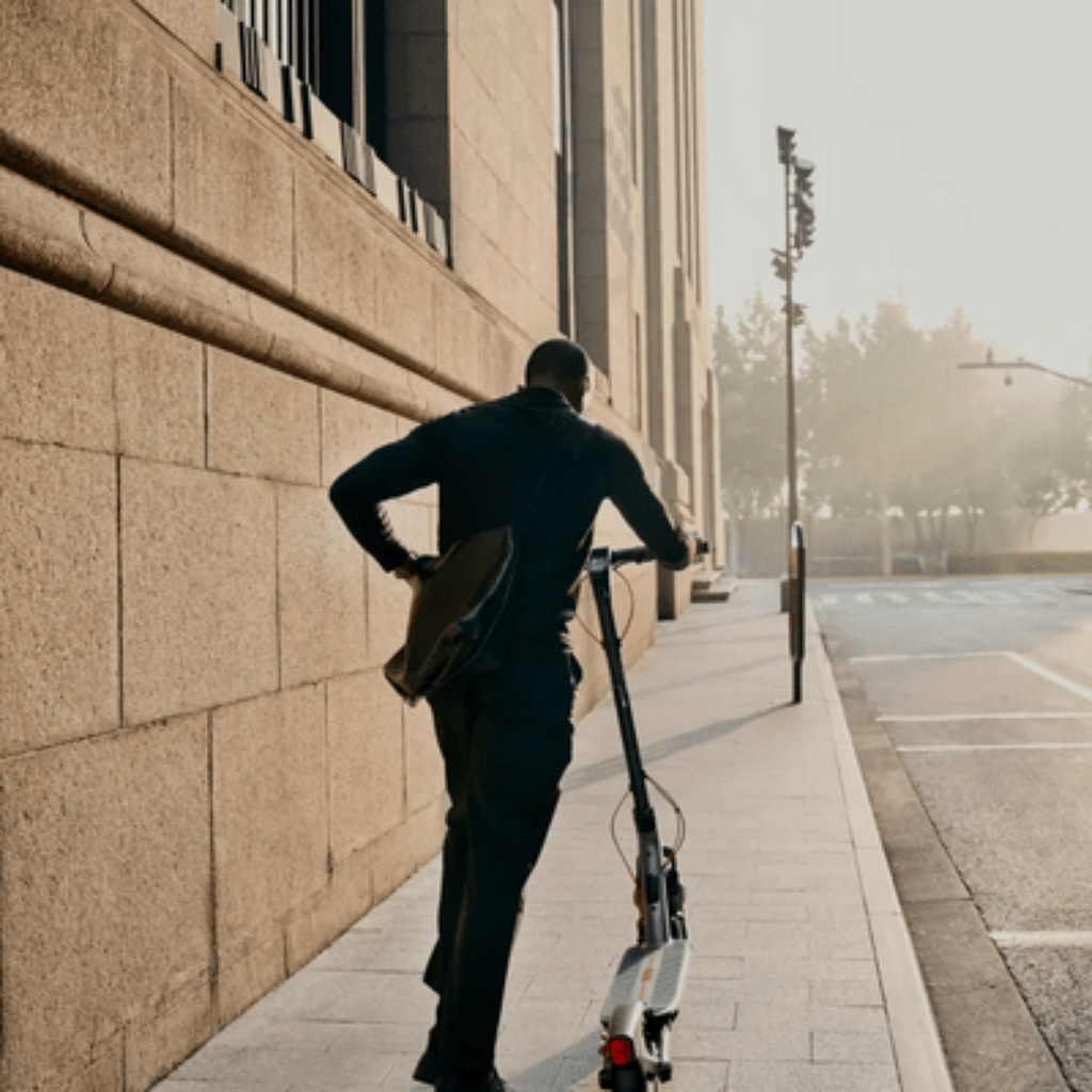 Trottinette Électrique F3 E Ninebot by Segway