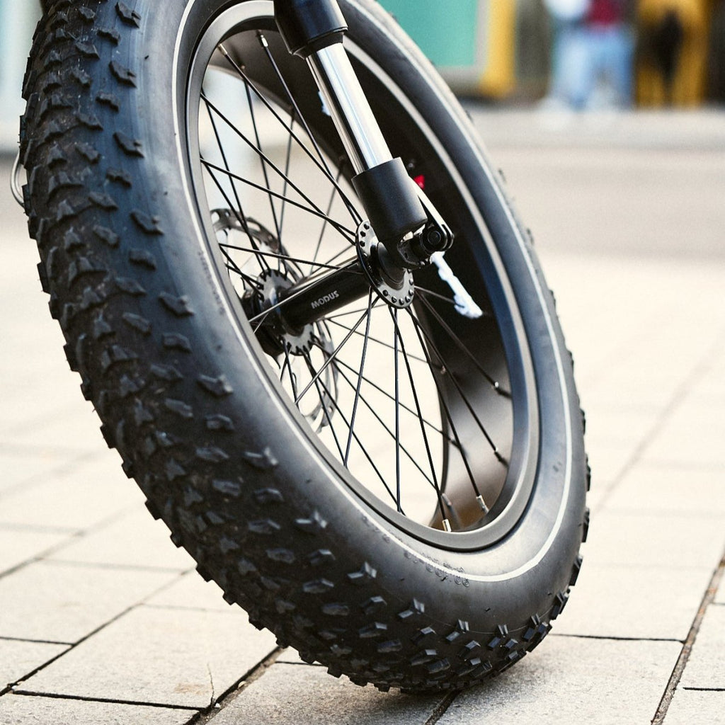 Fatbike Électrique Biplace Cargo Garrett Miller City
