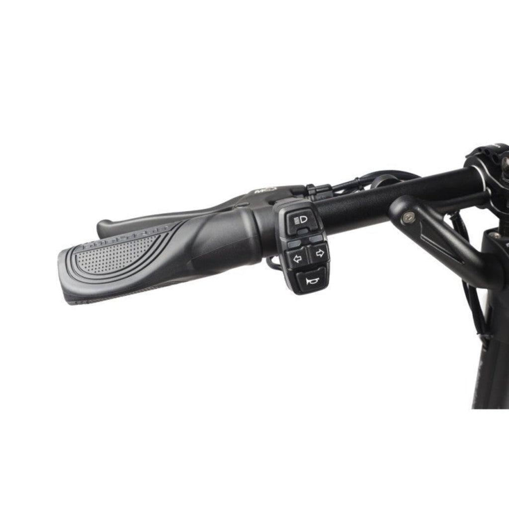 Trottinette Électrique Dualtron Aminia
