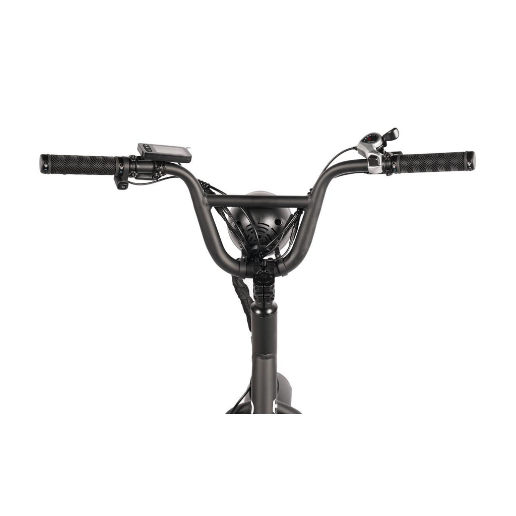 Fatbike Électrique Biplace Cargo Garrett Miller Urban