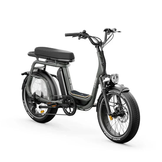 Vélo cargo électrique Elwing Ritmic Duo