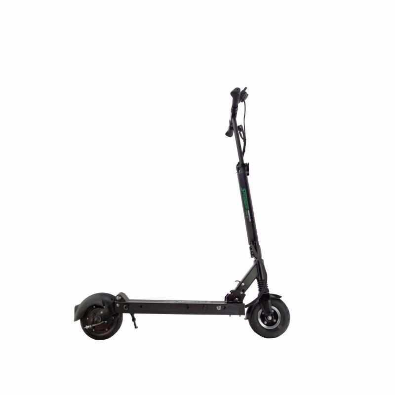 Trottinette Électrique Speedway Mini 4 Pro