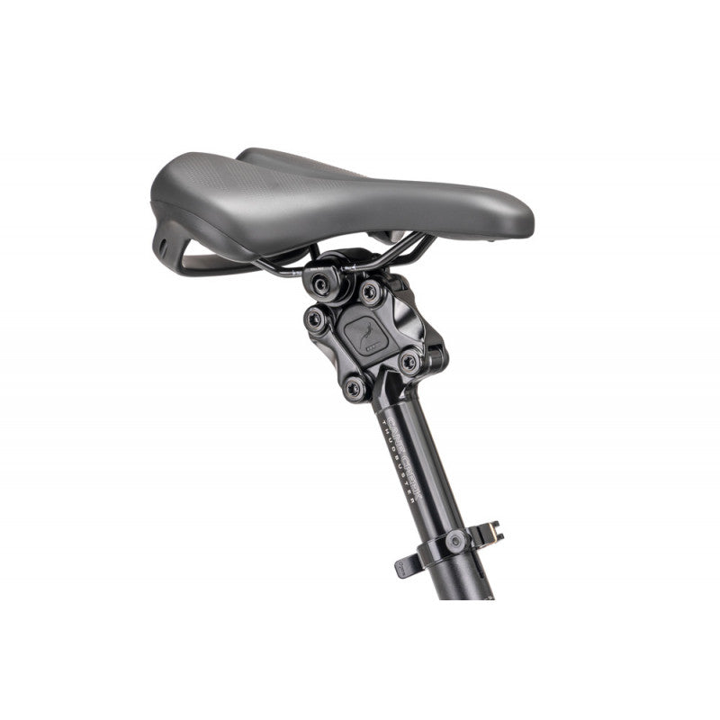 Vélo cargo électrique Tern GSD S10 LX